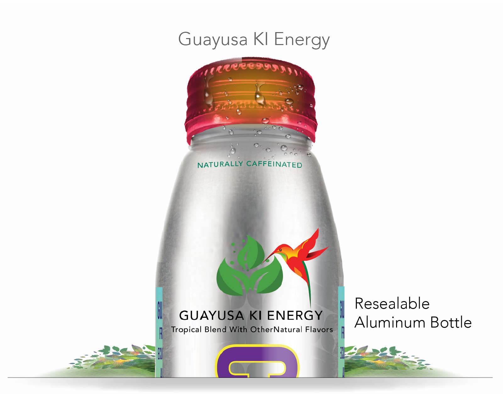 Guayusa | Ki Energy