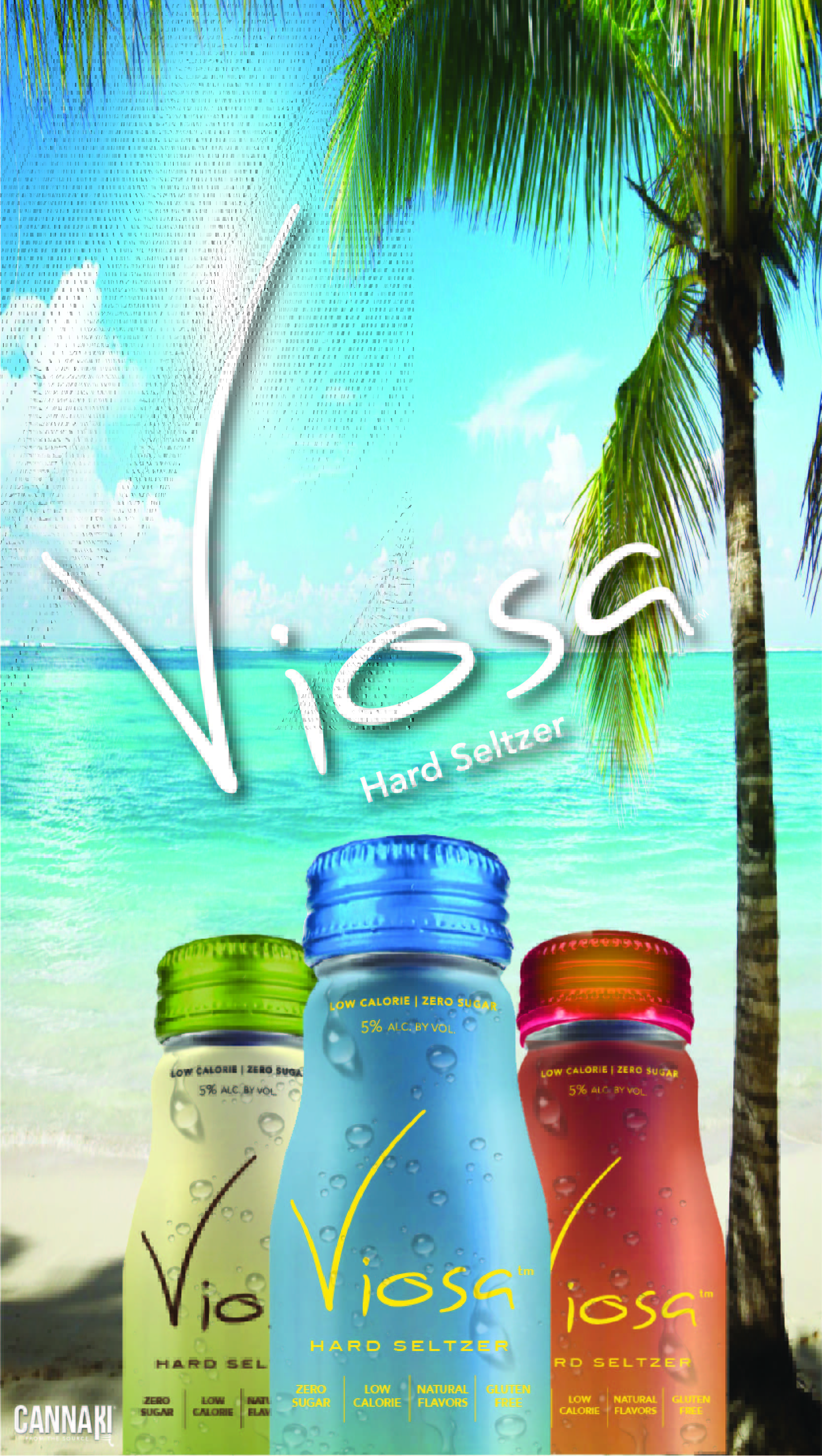 Viosa Hard Seltzer